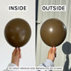 A pack of 20 660 Fashion Coffee Brown Link-O-Loon Latex Balloons, manufactured by Sempertex.