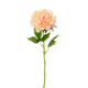 A Real Touch Peach Open Peony Stem.