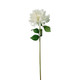 A Real Touch Cream Tipped Dahlia Stem.