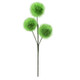 A 42cm Green Fluffy Ball Stem.