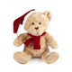 A 10 inch Christmas Bear.