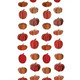 A Pumpkin Hanging String Decoration.