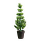 A Potted Mini Tipped Tree, measuring approx. 42cm.