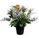 A 28cm Winter Robin & Snowy Greenery Grave Pot.