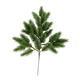 A 70cm Evergreen Mountain Spray.