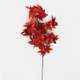 An 85cm Dark Orange Japanese Maple Branch.