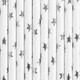 Stars Metallic Silver Paper Straws (10)