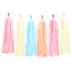 Pastel Sorbet Tassel Garland - 1.5m (1)