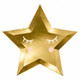 Golden Little Star Shaped Paper Plates (6)