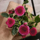 70cm Dark Pink Camelot Rose Spray (1)