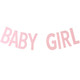 Baby Girl Pink Paper Banner - 2m (1)