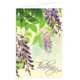 Thinking of You Purple Wisteria Message Cards - 10cm x 7cm (25)