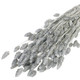60cm Dried Grey Misty Phalaris Bunch - 185g (1)
