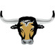 23 inch Longhorn Foil Balloon (1)