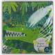 Snappy Birthday Crocodile Paper Napkins (20)