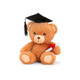 6 inch Eco Graduation Bear (1)