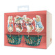 Peter Rabbit Festive Foliage Cupcake Kit (1)