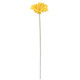 53cm Yellow Gerbera Stem (1)