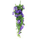 Purple Trailing Morning Glory Bush - 60cm (1)