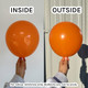 5" Orange Tuftex Latex Balloons (50)