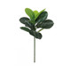 70cm Large Tropical Ficus Plant (1)