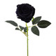 52cm Black Velvet Open Rose (1)