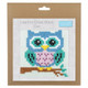 Owl Cross Stitch Kit (1)