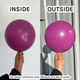 12" Fashion Purple Orchid Sempertex Latex Balloons (50)