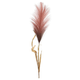 100cm Rouge Artificial Pampas Stem (1)