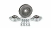 Pulley Kit w/Bearings