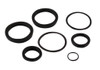 Rebuild Kit,16in Cylnder -R&P