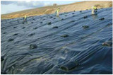 8.4 oz. 12 mil Black/White Polyethylene String Reinforced Landfill Covers