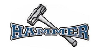 Hammer Premium Steel Arm System