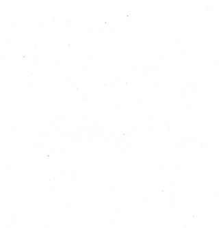 Economical Reinforced White Polyethylene Tarps, 8 ounce, 10 mil thick - TTS-10000-01-xxxx