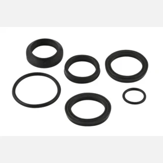 Rebuilding Kit for HR4579 Cyli