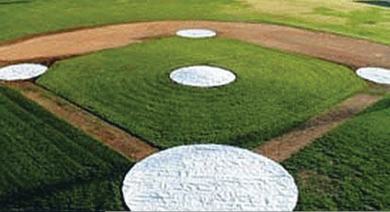 Protect the Diamond: A Guide to Baseball Field Covers