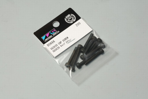 B0666 SG 3x20 Cap Screw (10pcs)