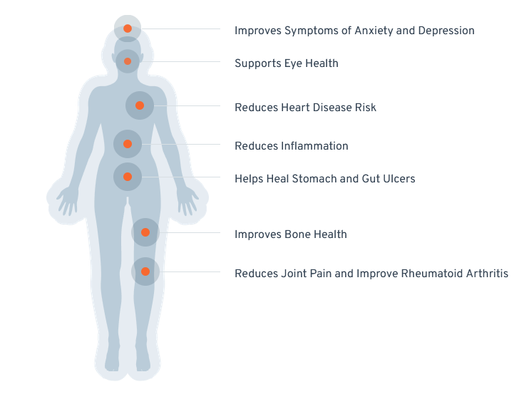 Clean Icelandic Cod Liver Oil Liquid