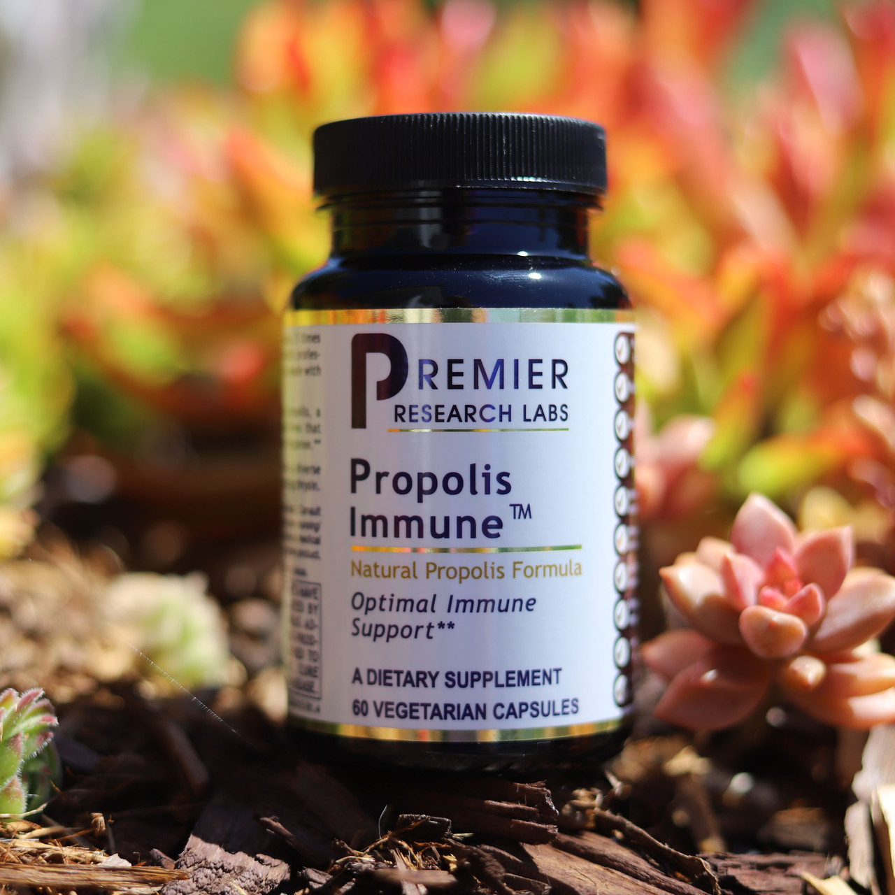 021049 - PRL Propolis Immune 60caps