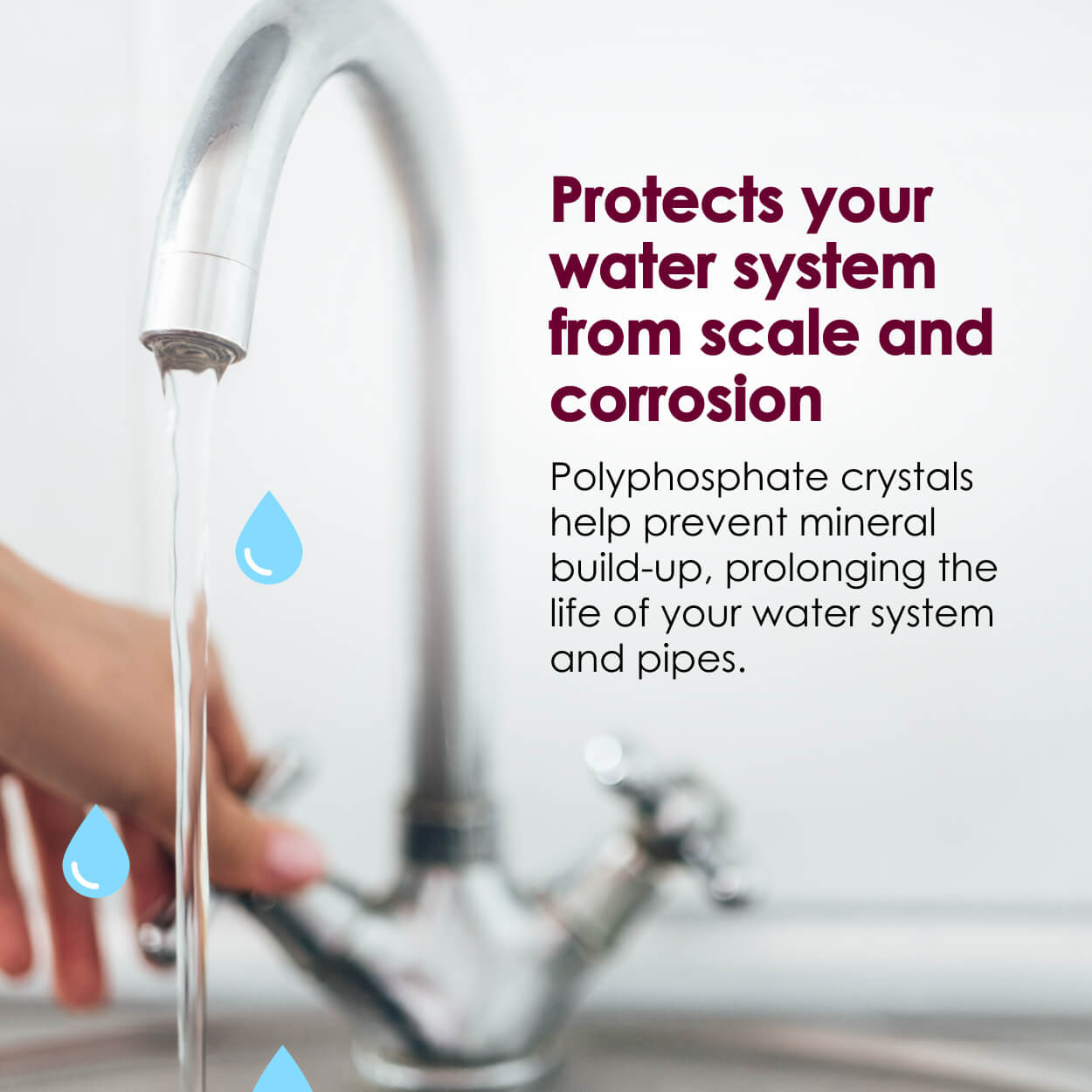 Radiant Life Direct Connect Water Filter Easy Install