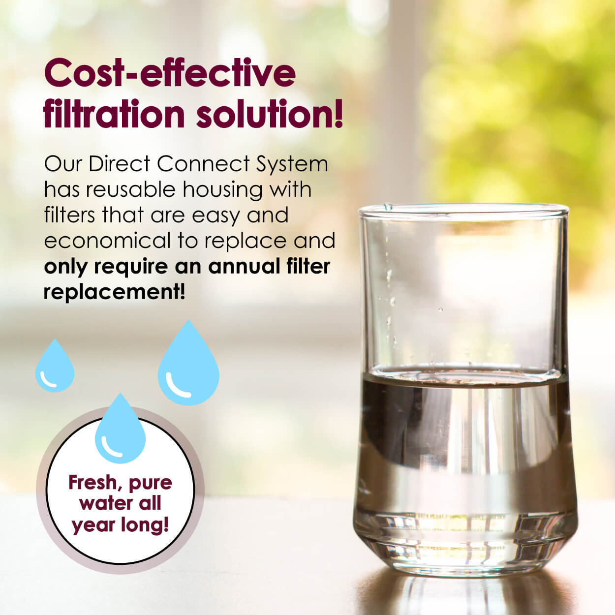 Radiant Life Direct Connect Water Filter Improve Your Water