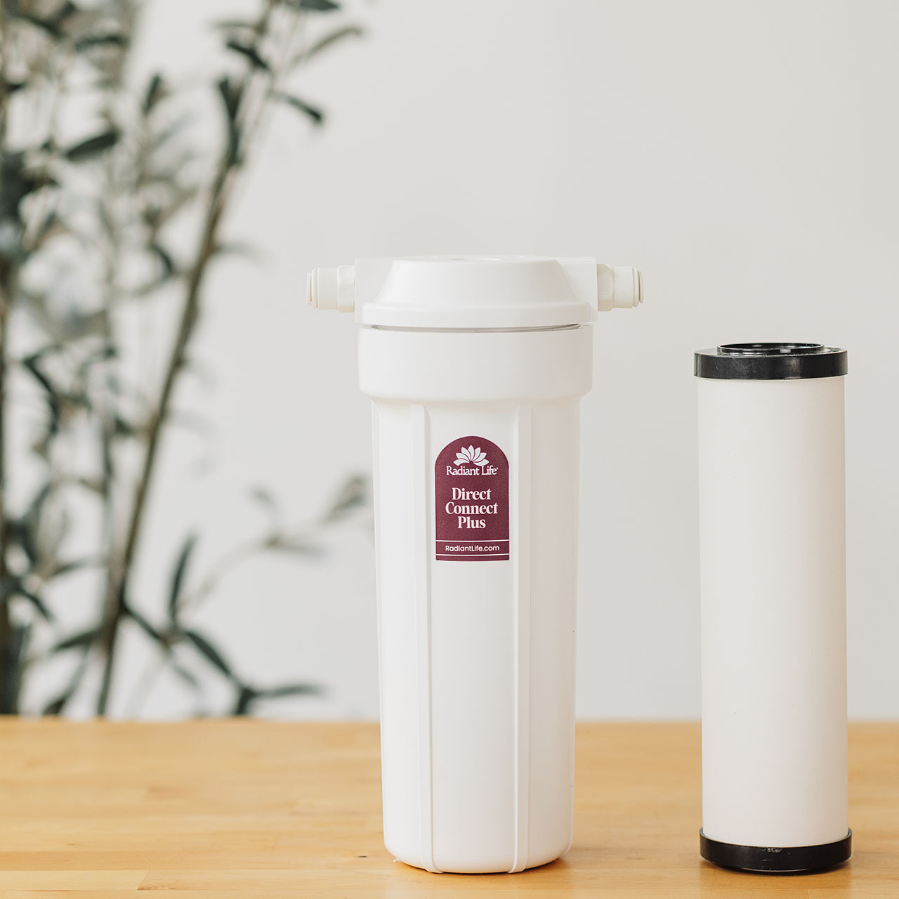 Radiant Life Direct Connect Plus with Advanced Ceramic Filter
