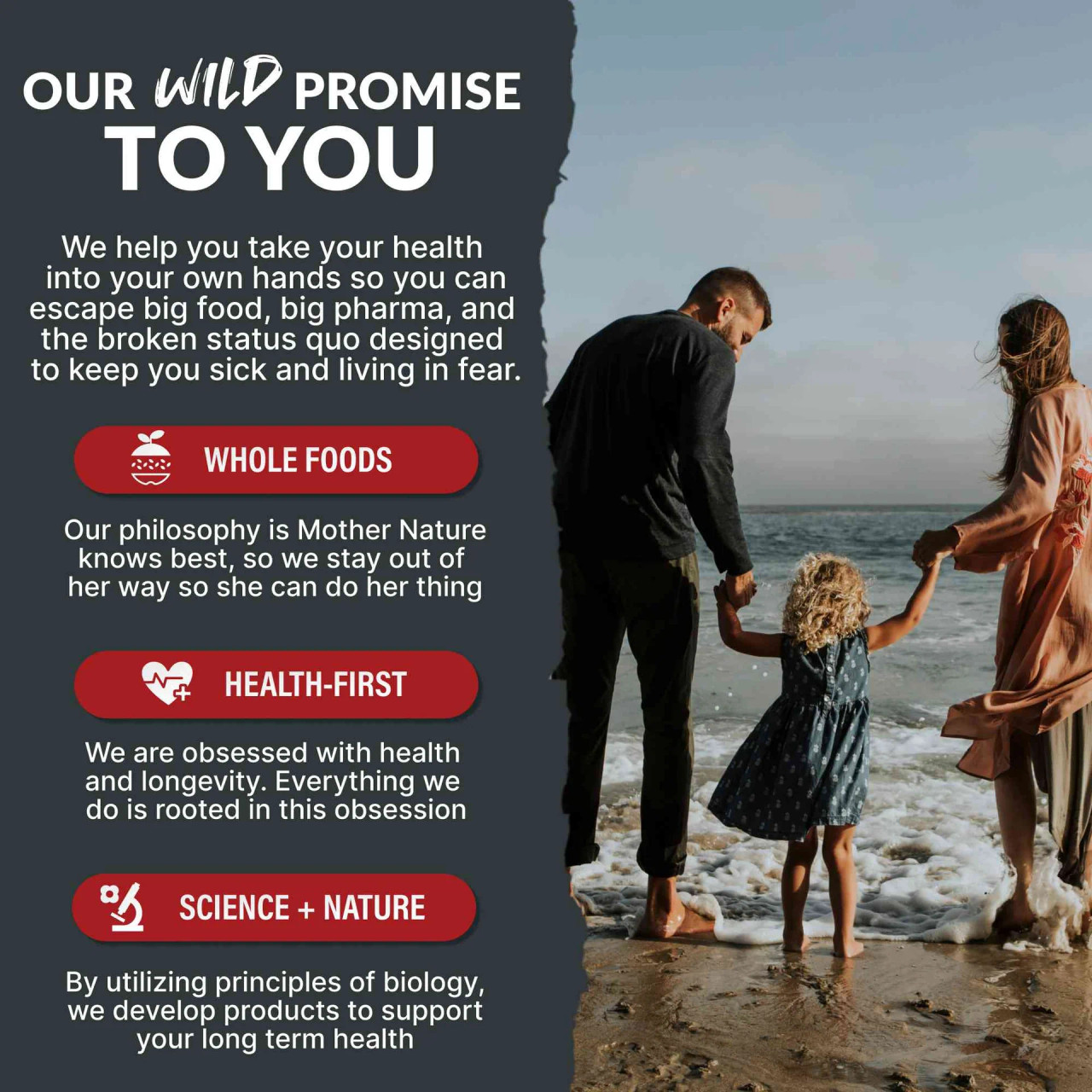 Wild Focus Nootropic Blend