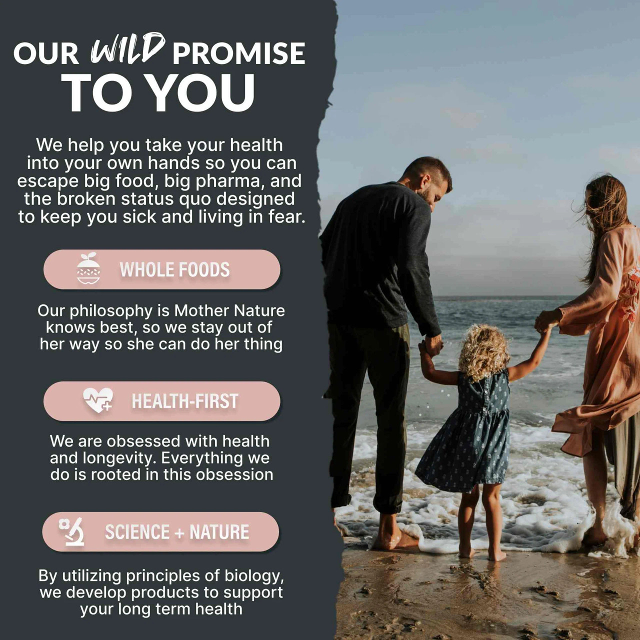 Wild Himalayan Pink Salt - Fine