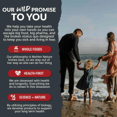 Wild Focus Nootropic Blend