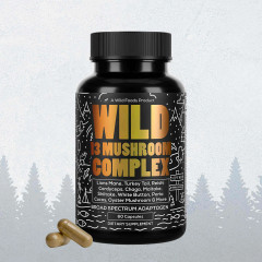 Wild 13 Mushroom Complex Wild 13 Mushroom Complex