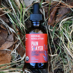 Pain Slayer Joint and Muscle Support Elixir Pain Slayer Joint and Muscle Support Elixir