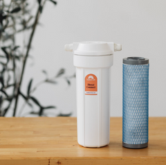 Radiant Life Direct Connect Replacement Filter