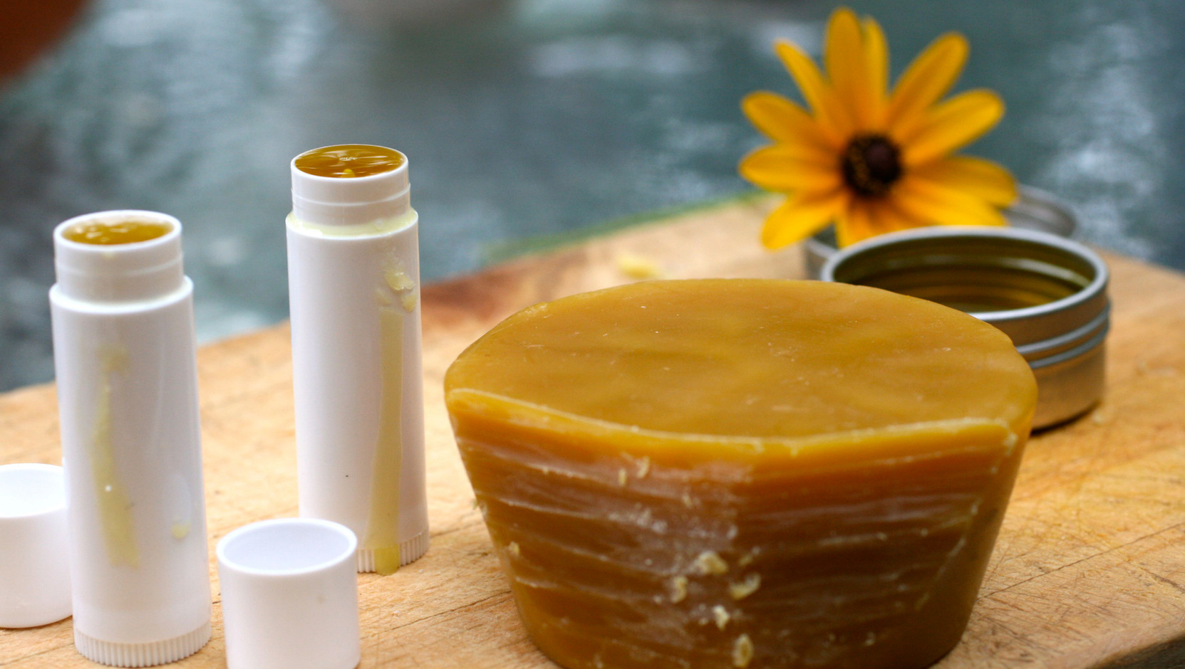 DIY: Extra Virgin Coconut Oil & Lemon Lip Balm