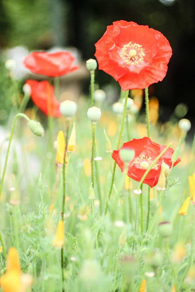 Unspoken Solution for Anxiety: Using Breath for Relaxation